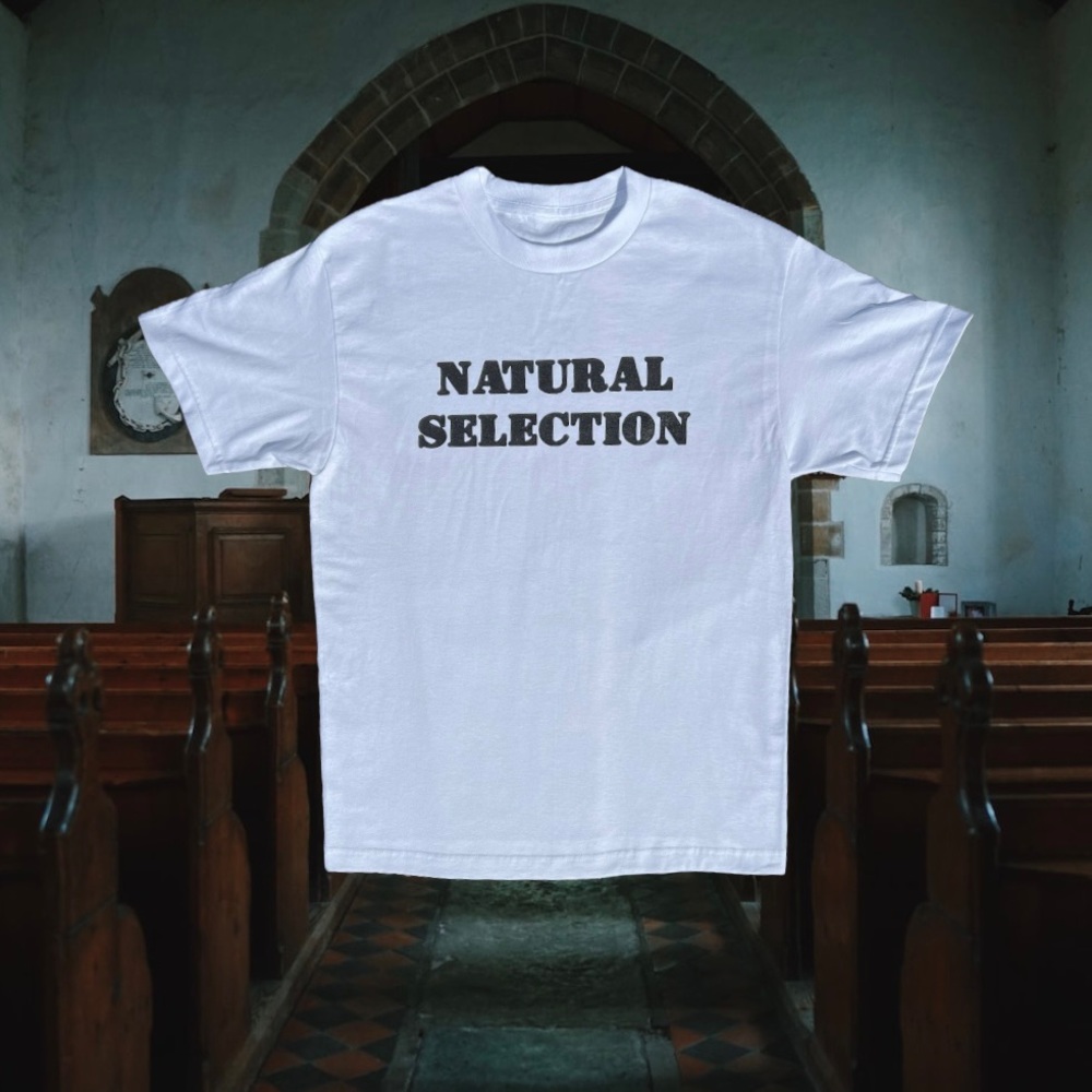 Natural Selection T